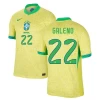 Maglia Calcio Brasile Galeno #22 Copa America 2024 Prima Uomo