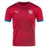 Maglia Calcio Serbia Kolarov #11 Europei 2024 Prima Uomo